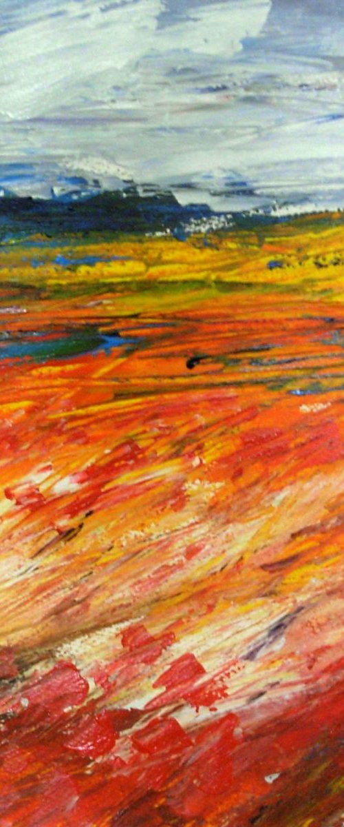 Poppy Field 6 by Jan Rippingham