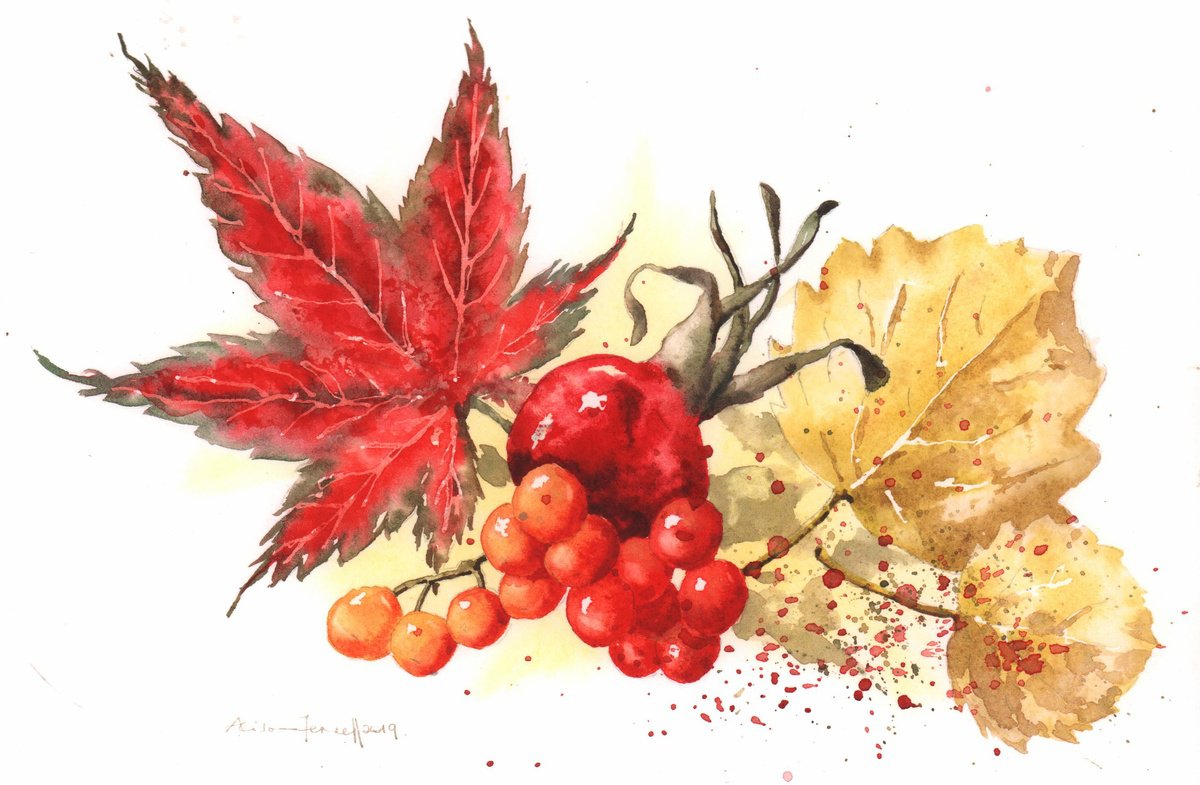 Fall Flourish - Original Watercolour Painting by Alison Fennell