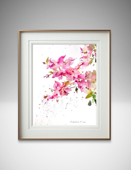 Bougainvillea Dream #2
