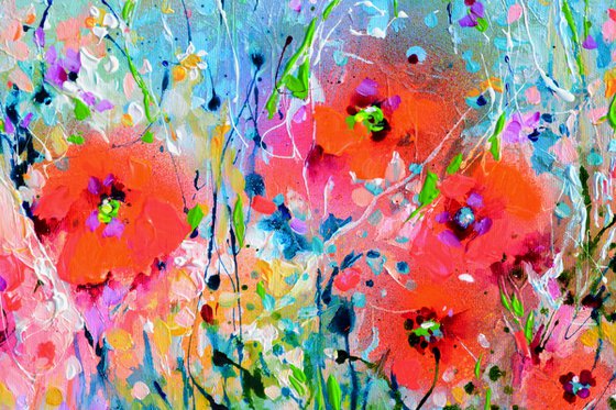 Tuscany Poppy Fields - Wild Flowers