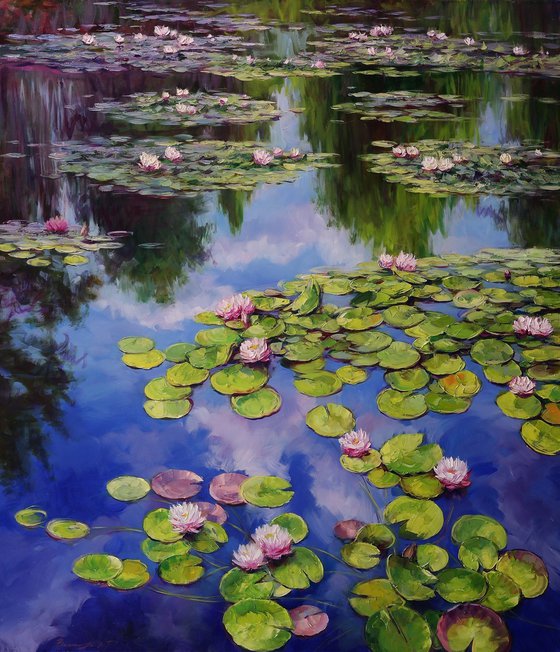 "Pond with water lilies"