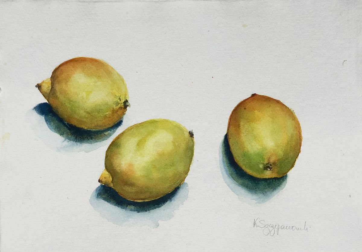Sketching lemons by Krystyna Szczepanowski