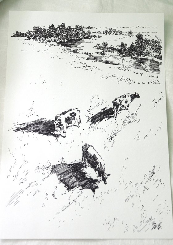 Cows in a Meadow