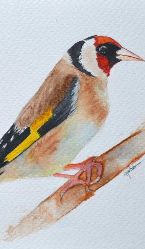 European Goldfinch by Neha Soni