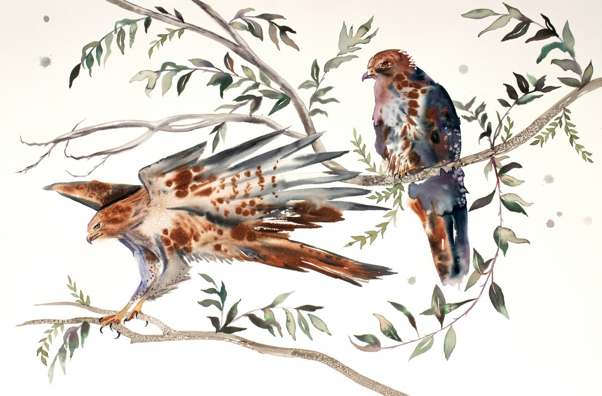 Expressive Animal Watercolour By Elizabeth Becker, 40 X 26, Red-Tailed Hawks No. 2, Original Artwork