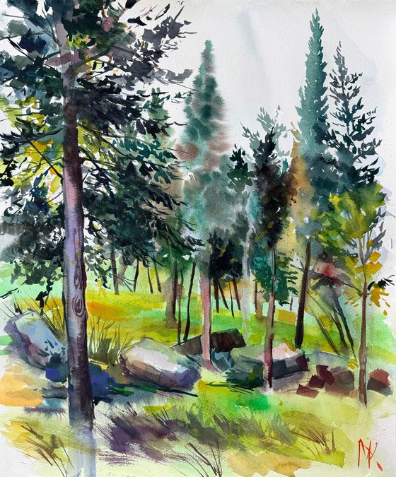 Morning in the Woods