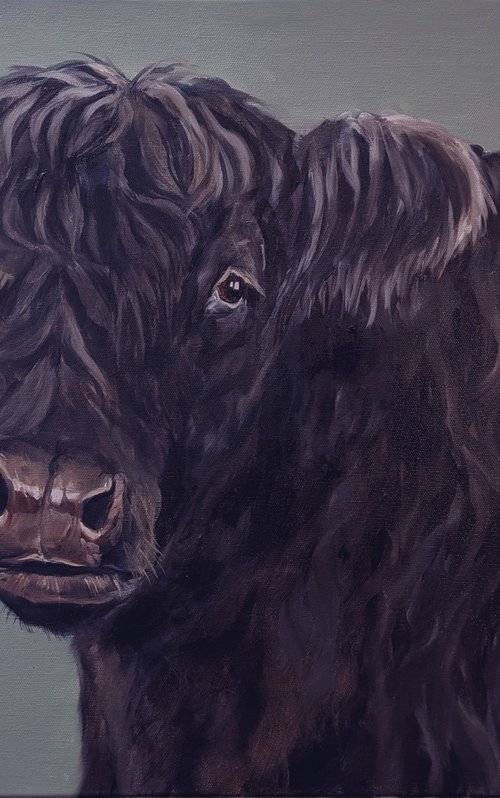 Lonesome Cow by Thuline De Cock