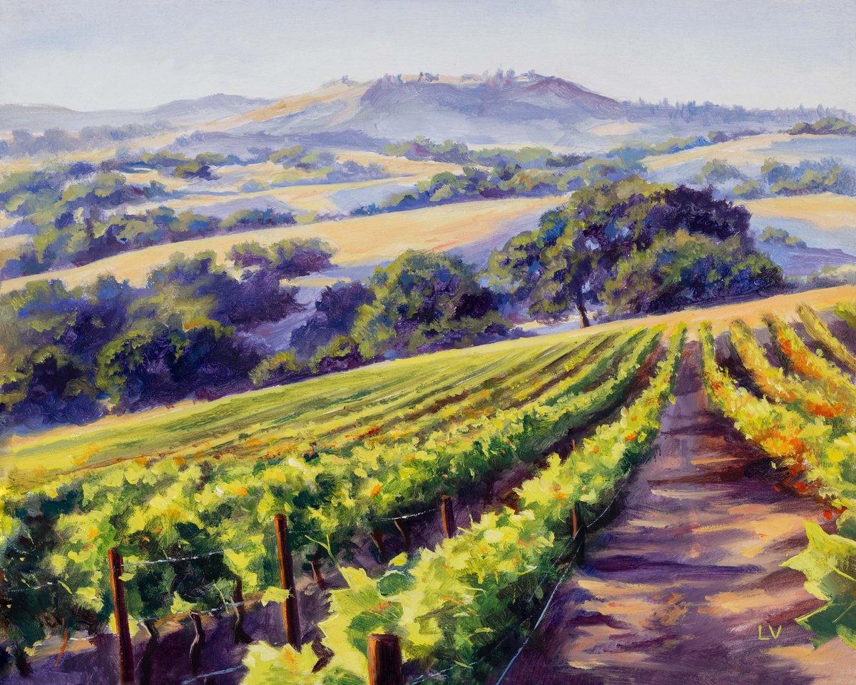 California vineyard landscape by Lucia Verdejo