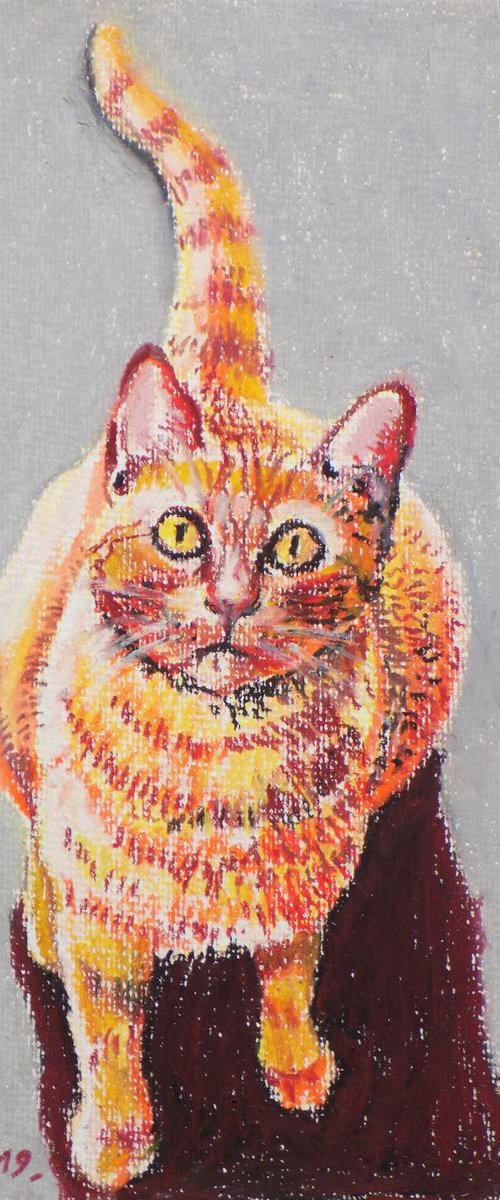 The Cat by Maja Grecic