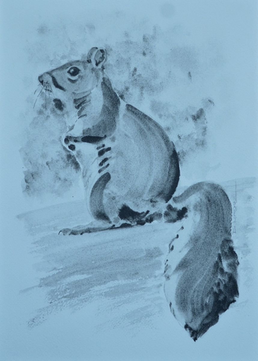 Grey Squirrel by Denise Mitchell