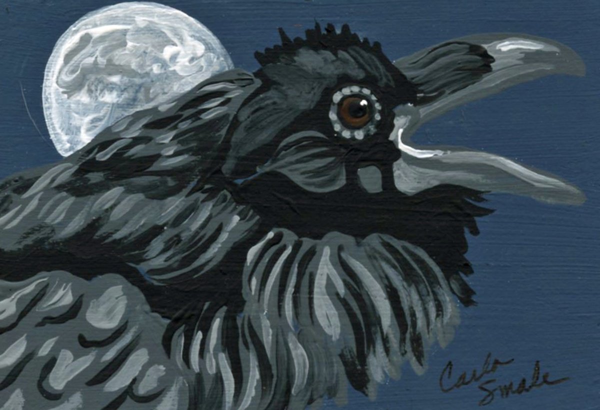 Crow Raven by Carla Smale