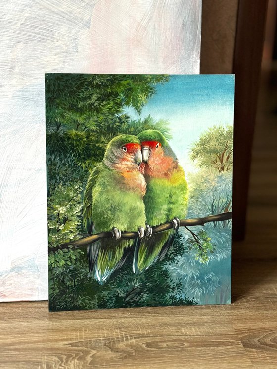 Parrots Agapornis