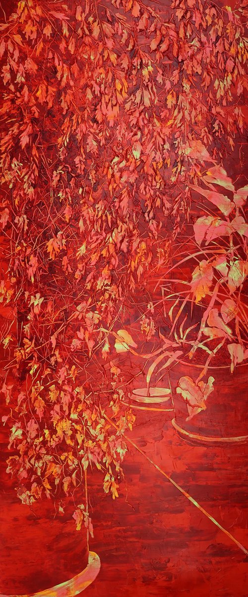 Red Morning by Dominic Virtosu