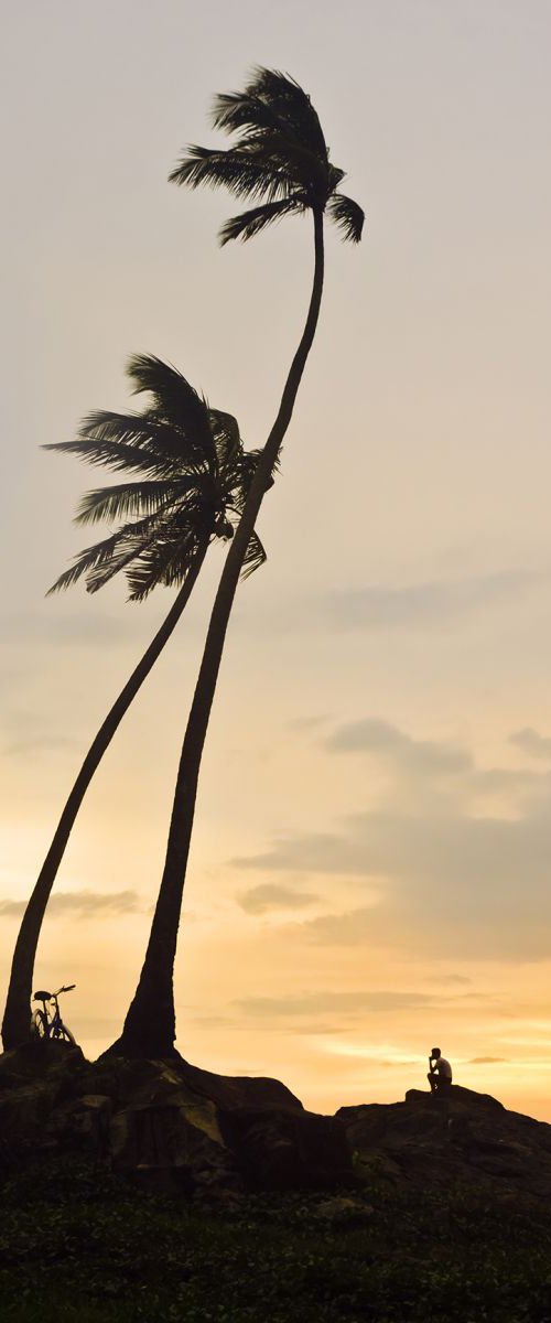 SUNSET THOUGHTS by Andrew Lever