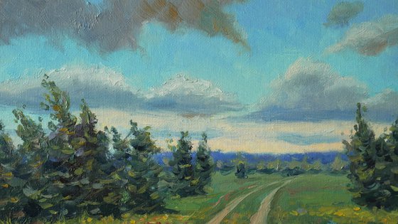 Summer Fields