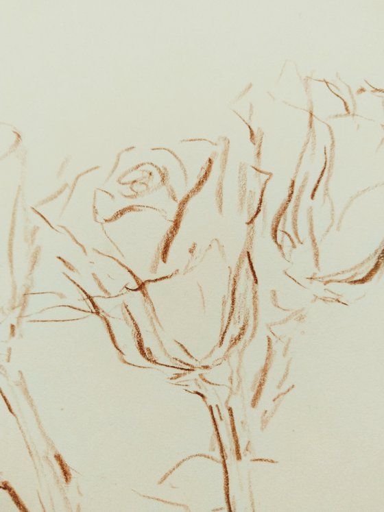 Roses #2. Original pencil drawing