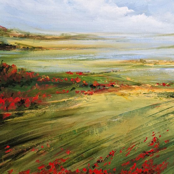 Where The Poppies Dance