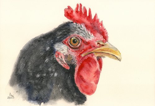 Black hen by Ilona Borodulina