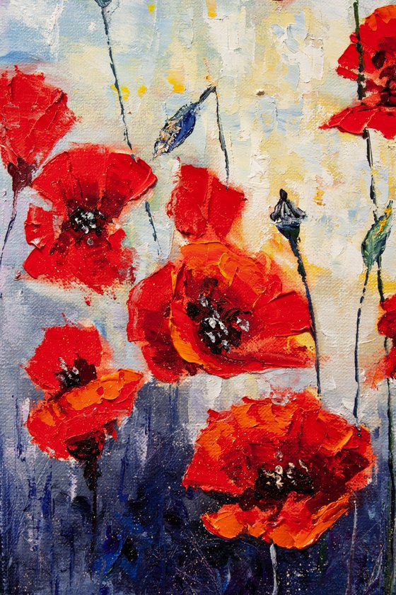 Happy summer , poppies