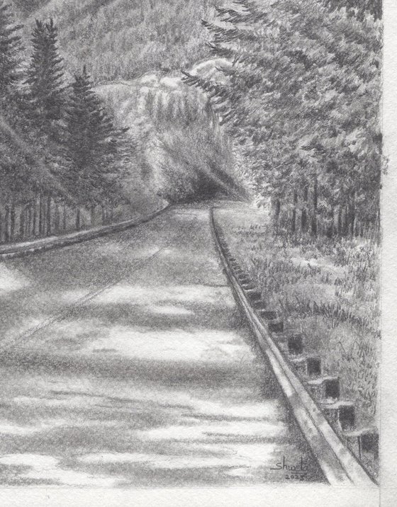 Road to Mount Rainier II