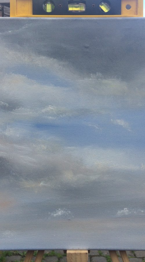 Sky Over the Stray by Sarah Louise Armstrong