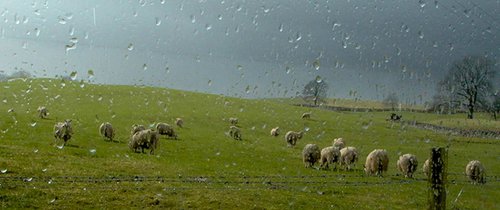 Rainy Scotland by Ron Colbroth
