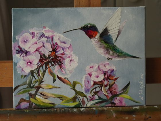 Hummingbird and a Pink Flower