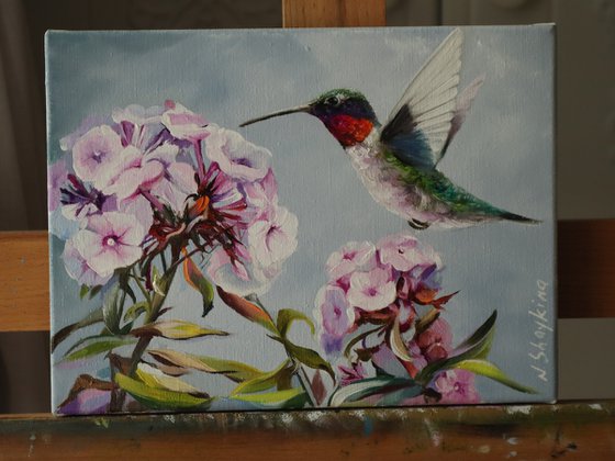 Hummingbird Flower, Animals