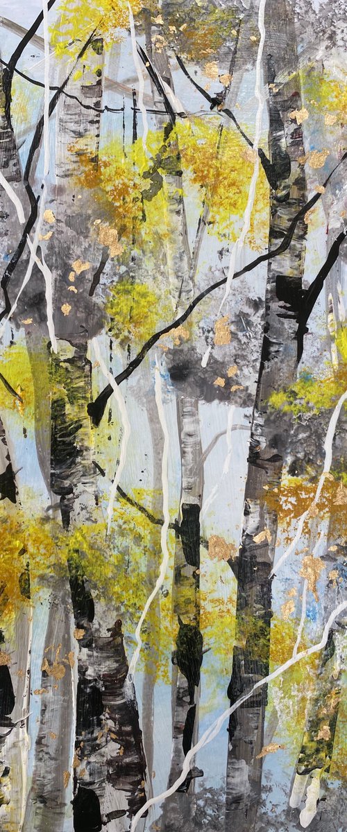 Autumn Silver Birch Trunks 1 by Teresa Tanner
