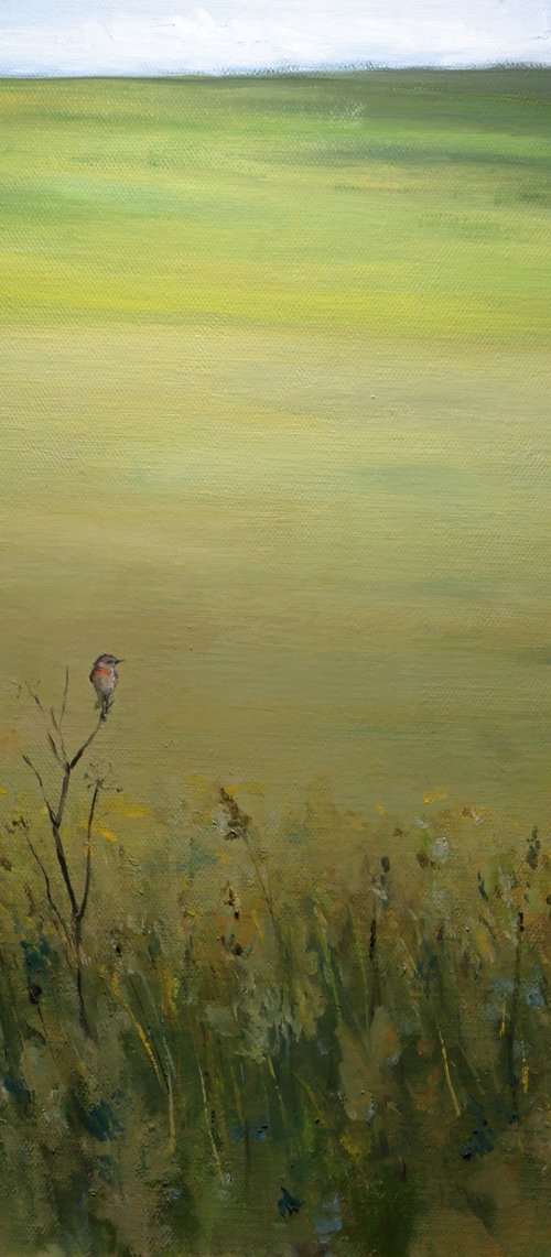 Field Of Gold by OLEG KAMAEV