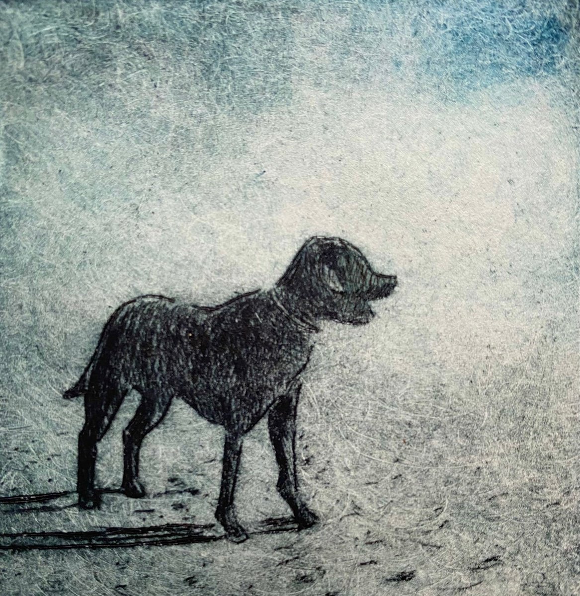 Illustrative Animal Etchings & Engravings By Rebecca Denton, 6 X 6", Black Lab, Original Artwork
