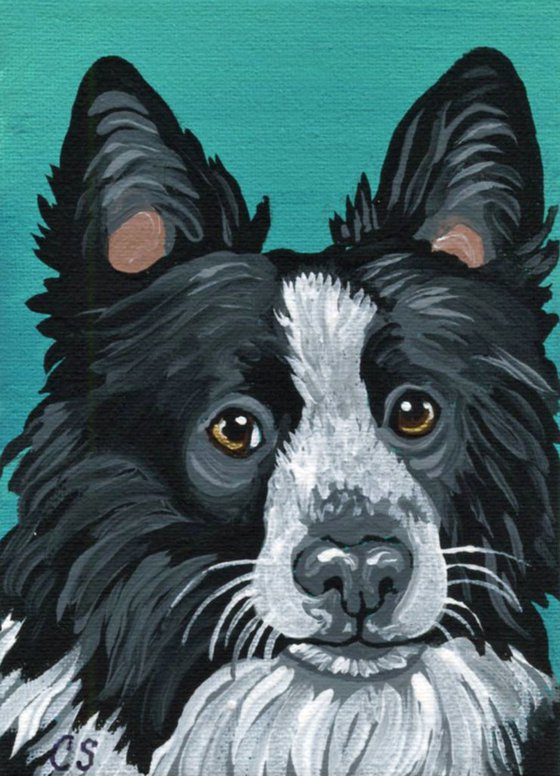 ACEO ATC Original Painting Border Collie Pet Dog Art-Carla Smale