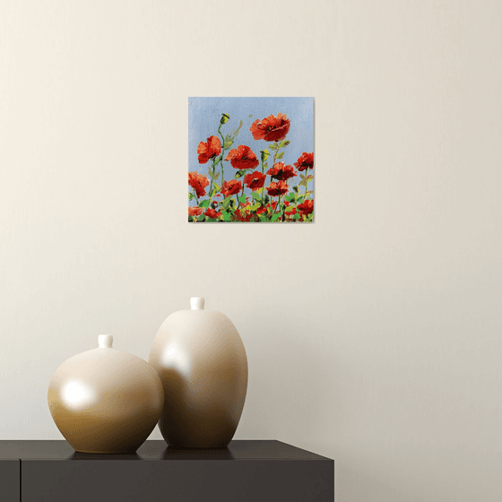 Poppies. Flowers.