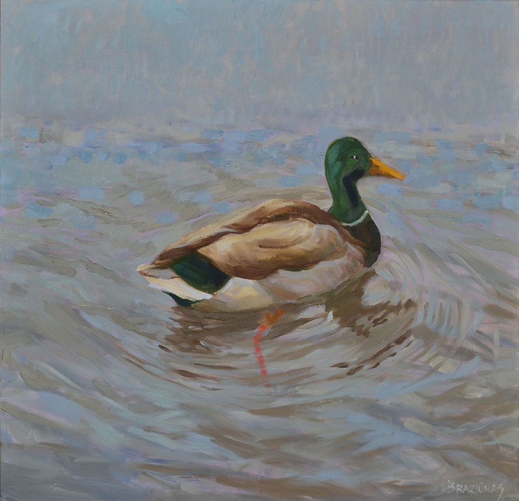 Wild Duck Oil Painting By Arturas Braziunas Artfinder