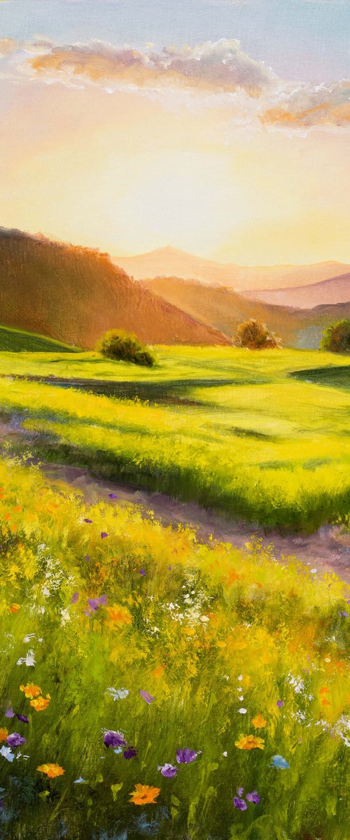 Crop field by Lucia Verdejo