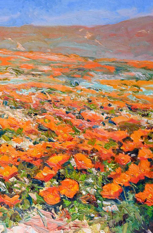 Antelope Valley, Golden Poppies by Suren Nersisyan