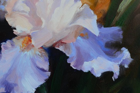 Iris