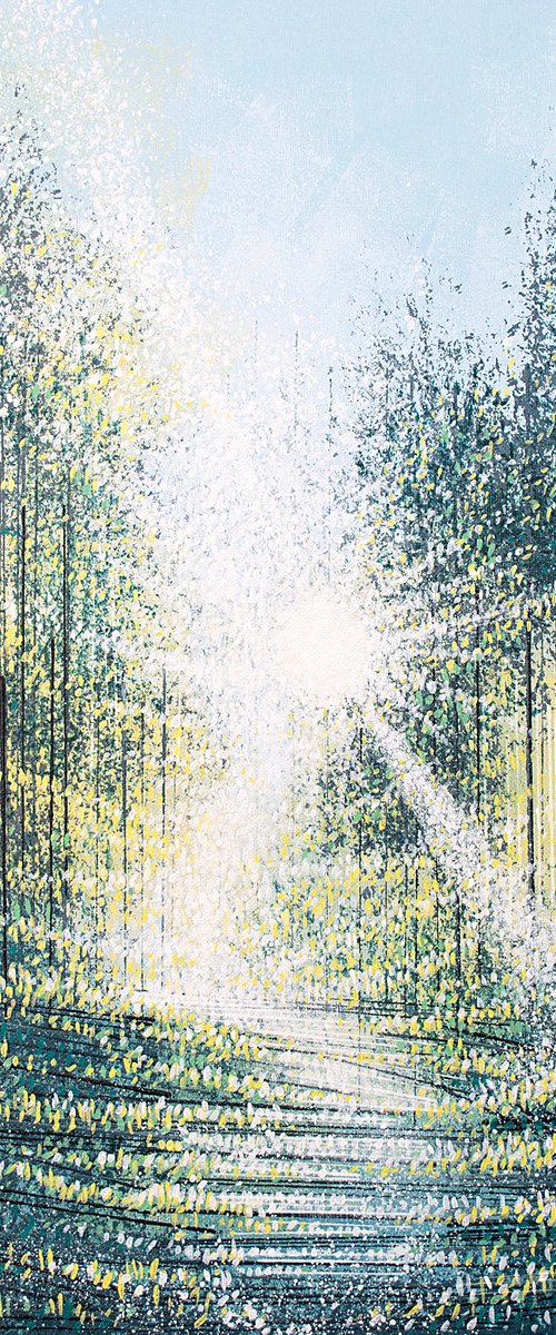 Spring Trees In Dawn Light by Marc Todd