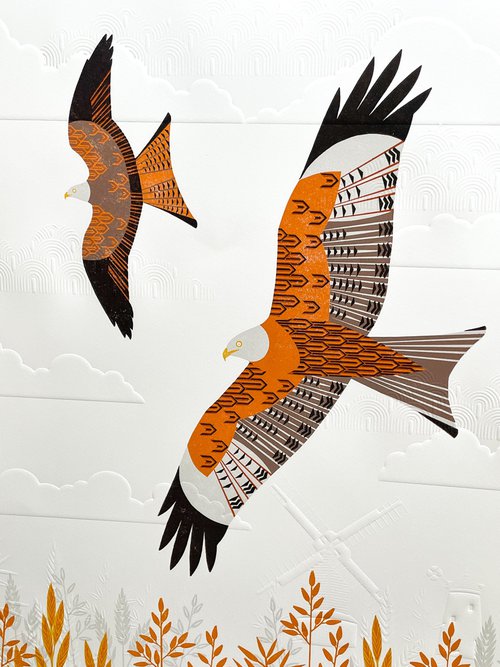 Red Kites over the South Downs by Ashley Hutchinson