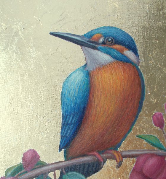 kingfisher bird "Bird of paradise"