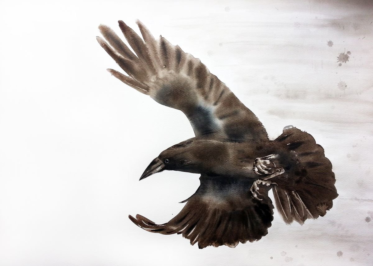 Flying Raven by Olga Beliaeva Watercolour