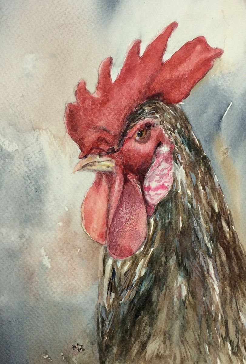 The Cockerel by Vivian Sophie