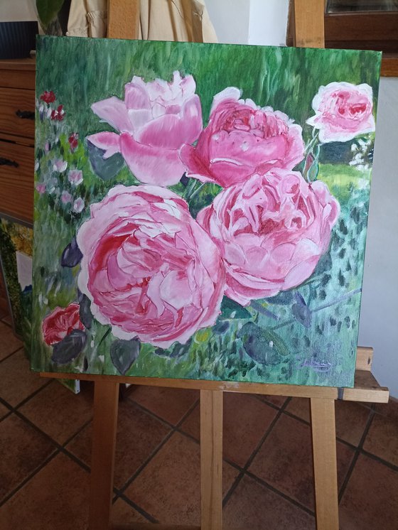 Pink roses