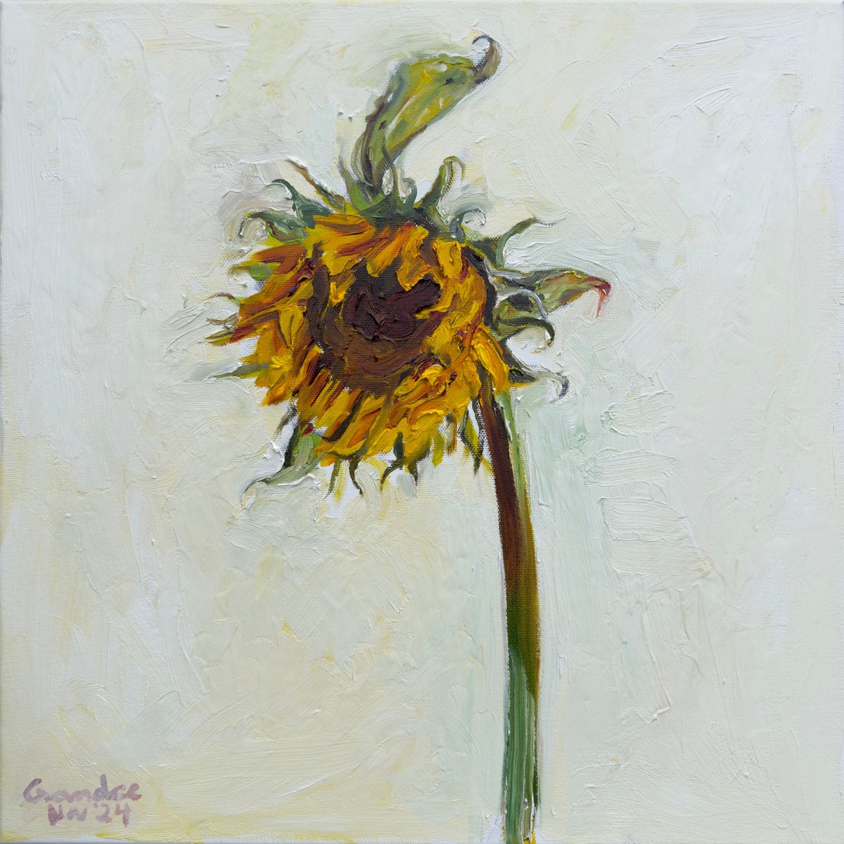 Impressionistic Botanical Oil Painting By Gandee Vasan, 16 X 16, Sunflower 1, Original Artwork