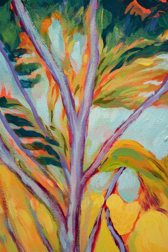 Carmel Valley Light