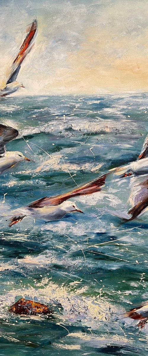 Gulls by Diana Malivani