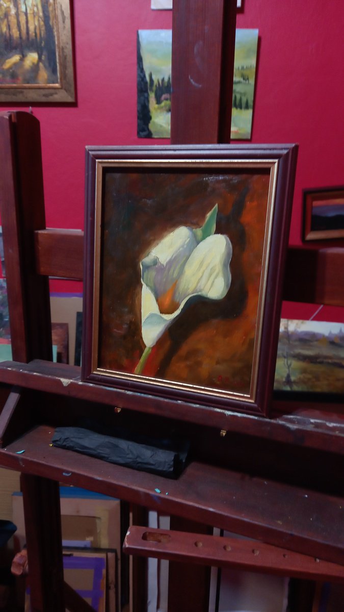 Kalla Lilly By Andrea Bocedi, 9 X 11, Artwork For Sale On Artfinder