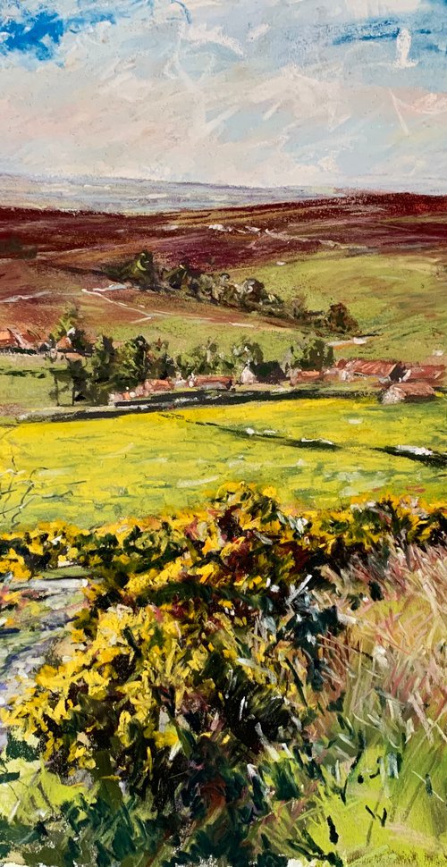 Golden Gorse by Andrew Moodie