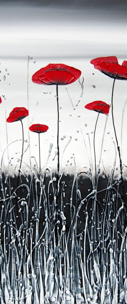 Perfection Poppies by Carol Wood
