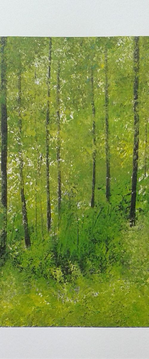 Waggoners Wells 5 by Jan Rippingham